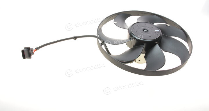 AIC 50858