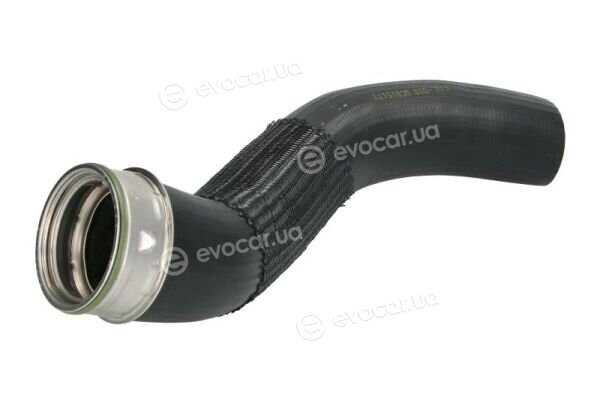 Thermotec DCB151TT