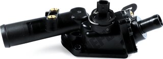 Hepu TM1089