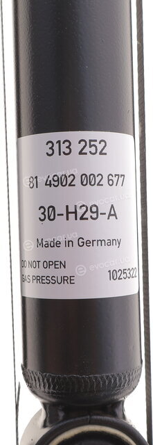 Sachs 313 252