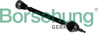 Borsehung B18334