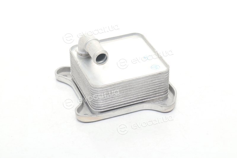 Van Wezel 58013702