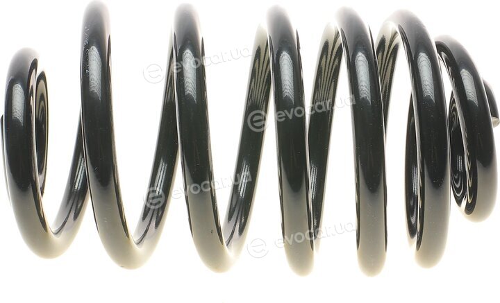 Solgy 212038