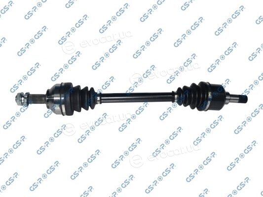 GSP 210310