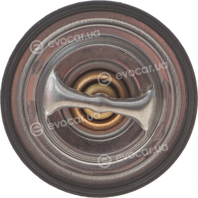 Motorad 302-88K