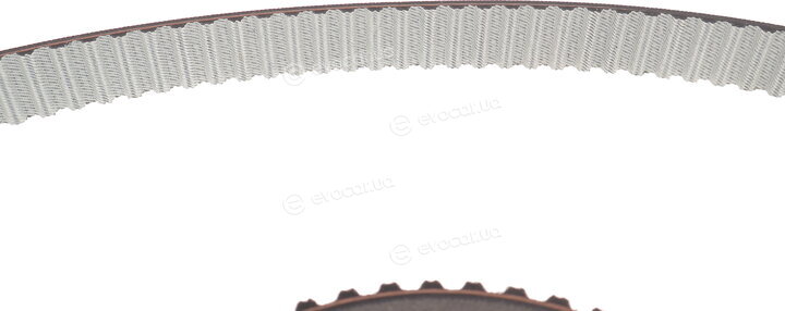 Dayco KTBWP4940