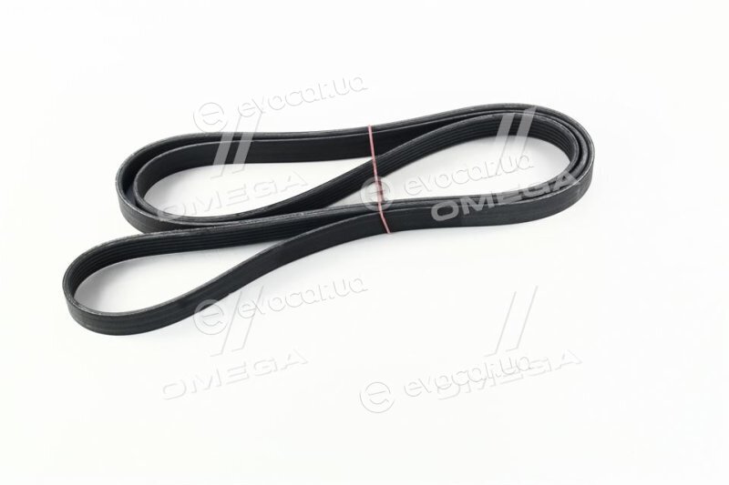 Continental 6PK2065