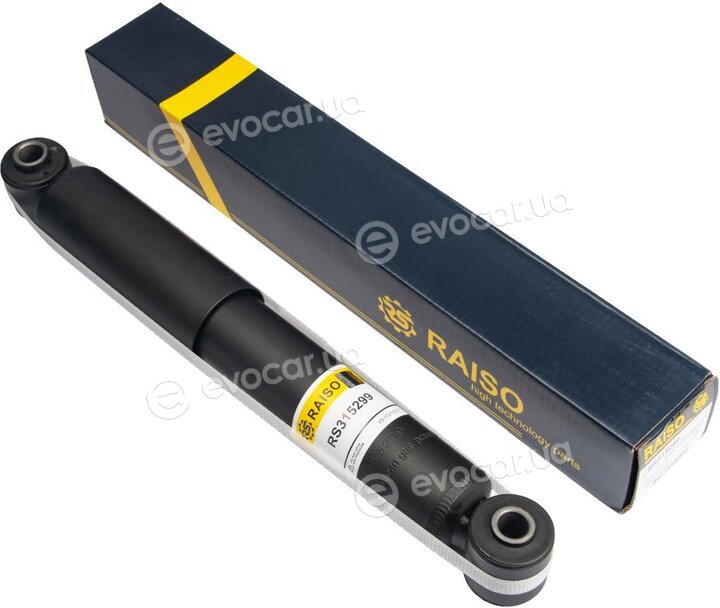 Raiso RS315299