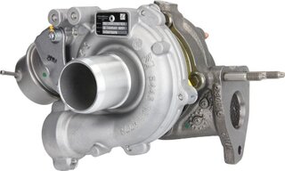 BorgWarner 54389880018