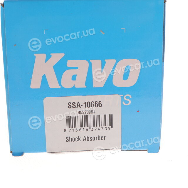Kavo SSA-10666