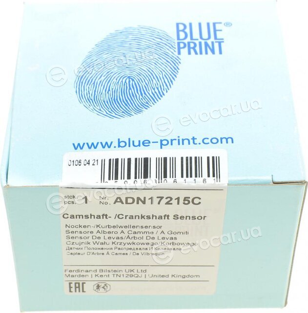 Blue Print ADN17215C