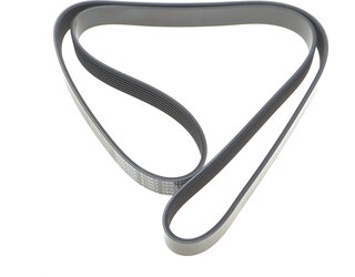 Dayco 7PK1550