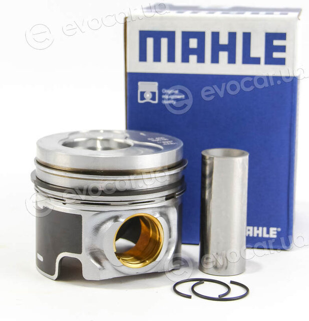 Mahle 028 06 02