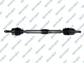 GSP 259317