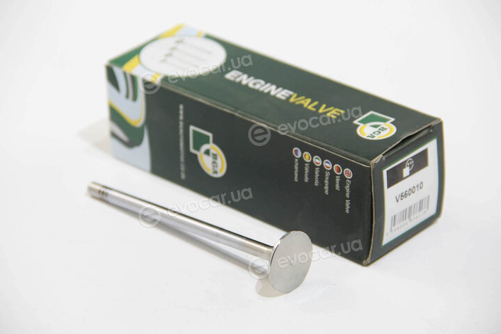 BGA V560010