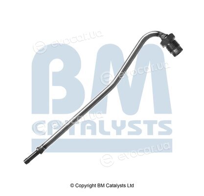 BM Catalysts PP31021A