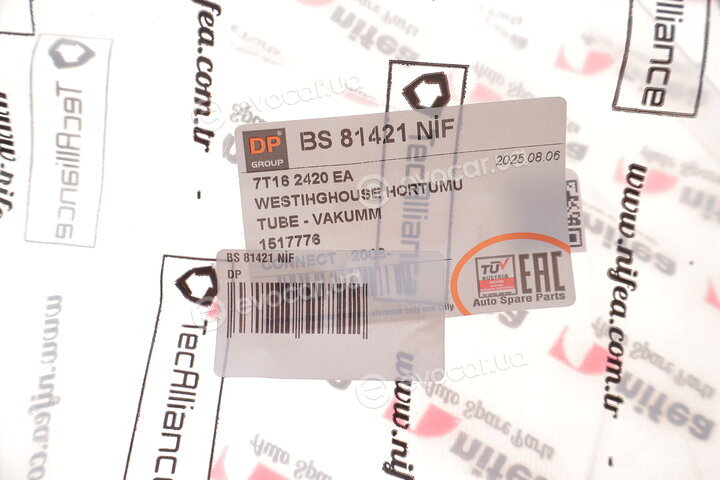 DP BS 81421 NİF