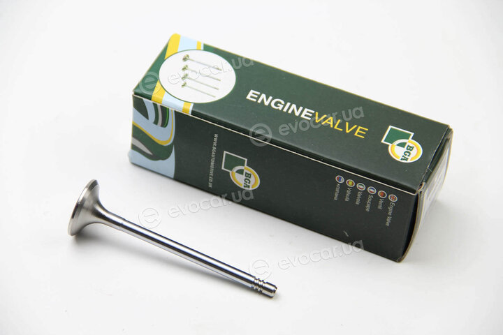 BGA V142050