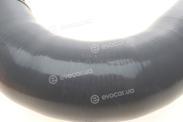 Solgy 114203