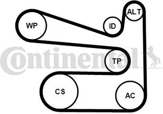 Continental 6 PK 1693 K1