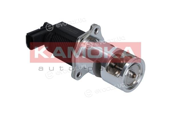 Kamoka 19009