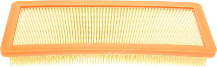 Mann C 36 002