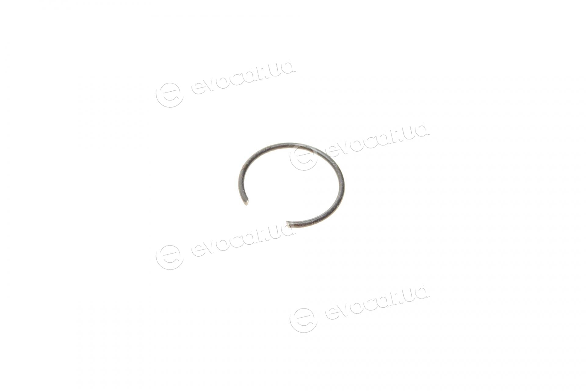 Metelli 13-0281