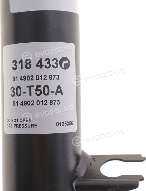 Sachs 318 433