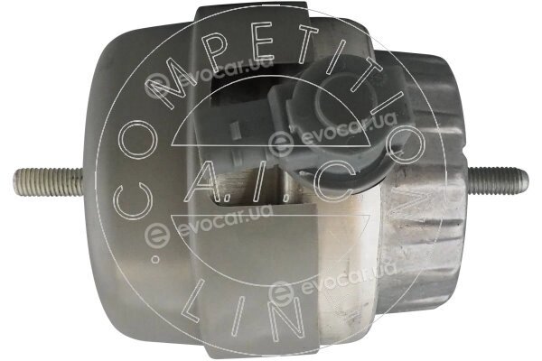 AIC 57407