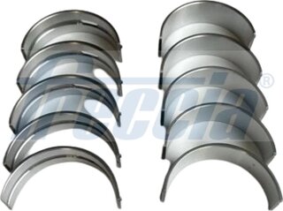 Freccia MB19-102200