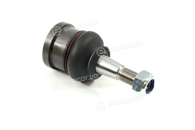 SKF VKDS 318903
