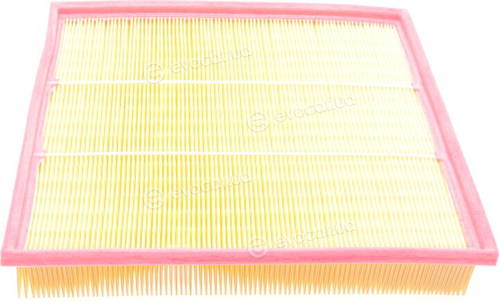 Solgy 103064