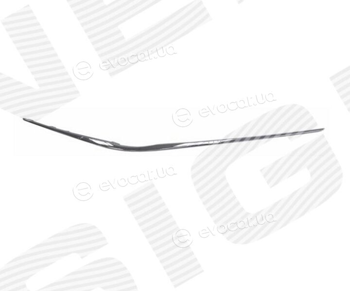Signeda PTY07510MA