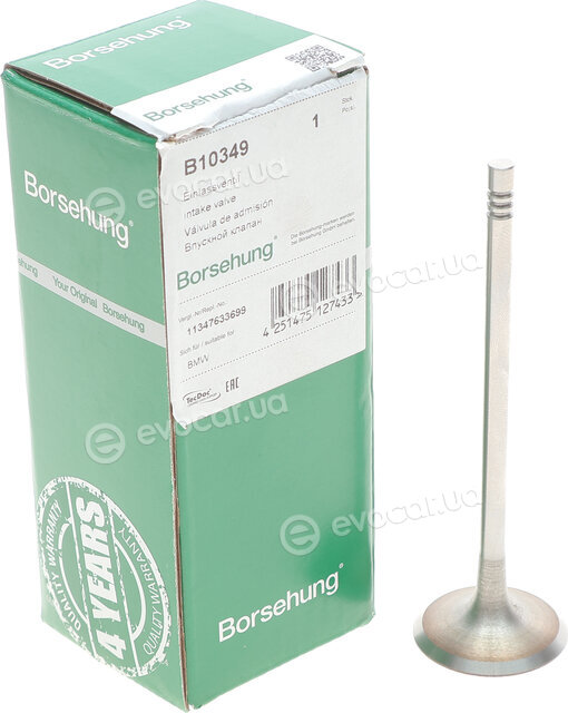 Borsehung B10349