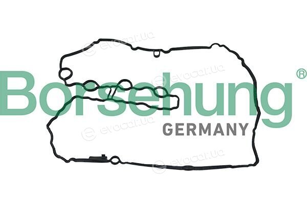 Borsehung B12967