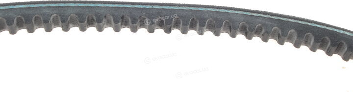 Hutchinson AV 10 La 1300