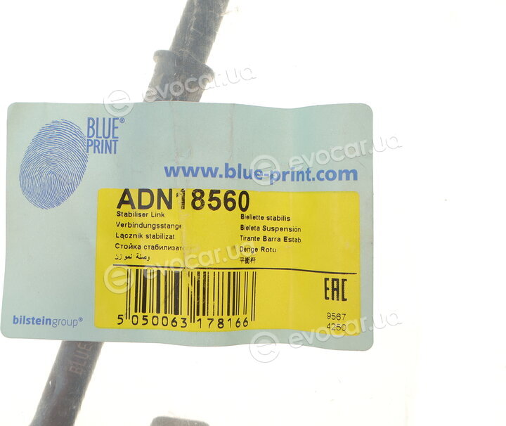 Blue Print ADN18560