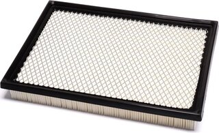 Champion CAF100928P