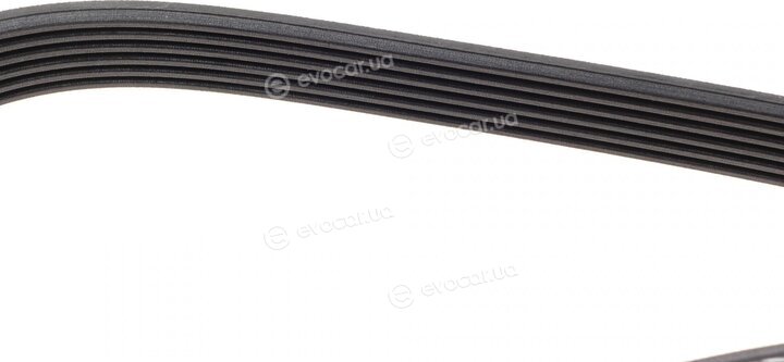 Dayco 6PK1733