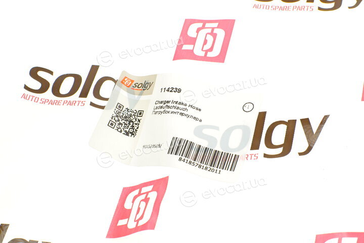Solgy 114239