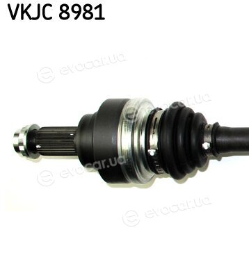 SKF VKJC 8981