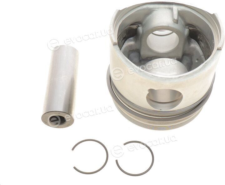Mahle 029 55 02