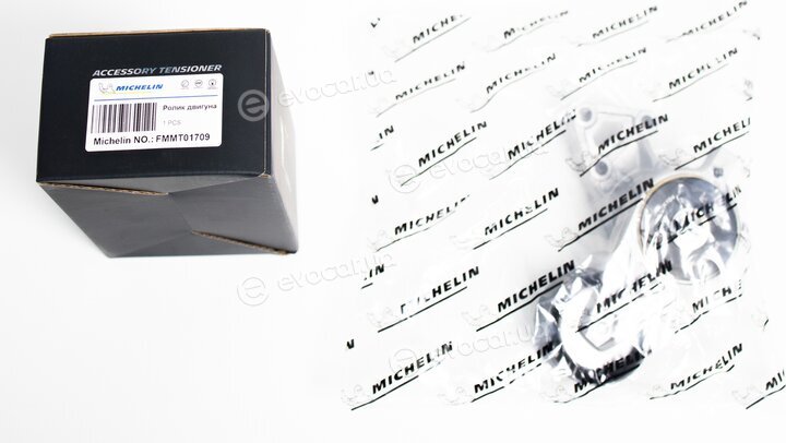 Michelin FMMT01709