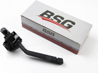 BSG BSG 30-855-001