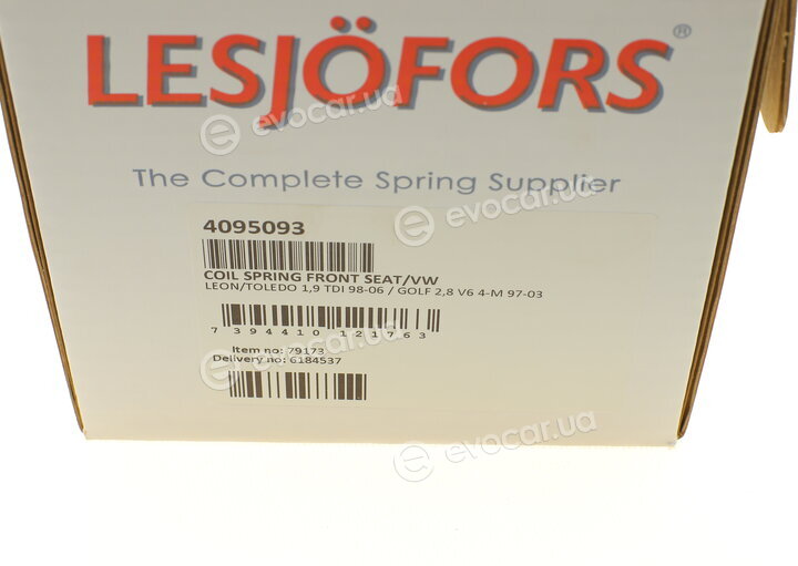 Lesjofors 4095093