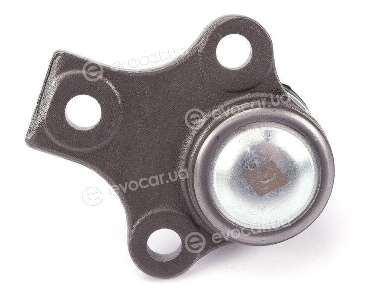 Solgy 203051