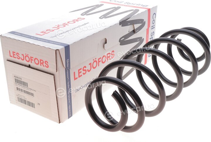 Lesjofors 4226155