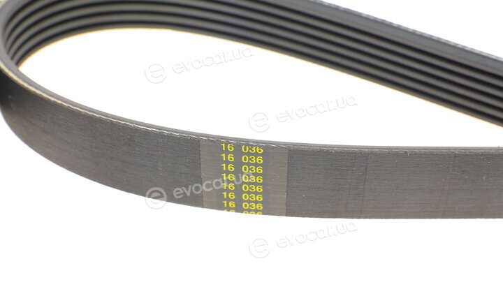 Blue Print AD06R1600