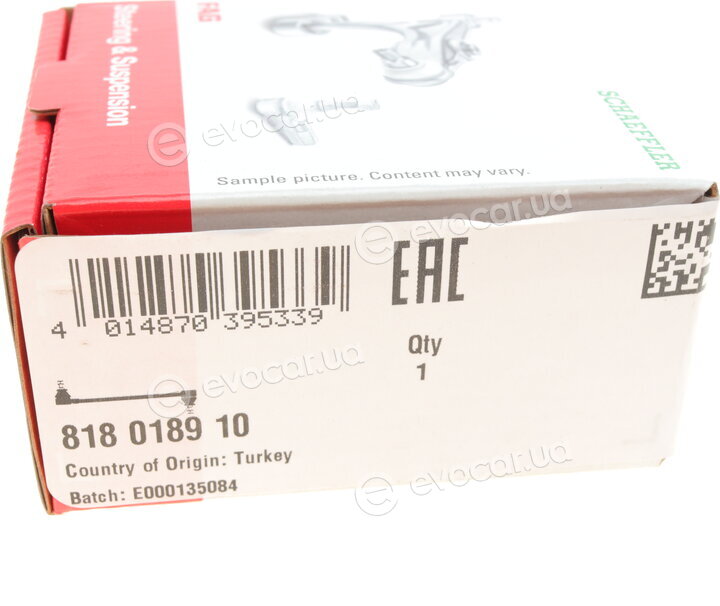 FAG 818 0189 10