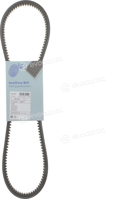 Blue Print AD13V975